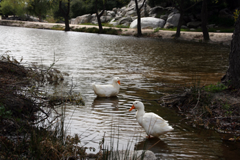 Recorriendo el sendero