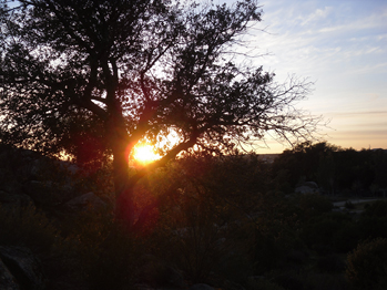 Contemplando el atardecer