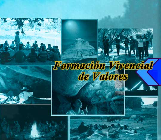 Materia de Licenciatura: Formación Vivencial de Valores