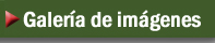 Galería-de-imágenes